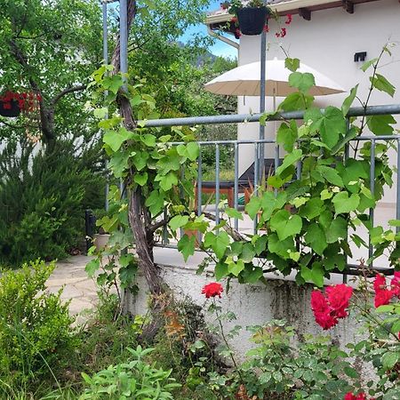 Ioannis Houses - Gemuetliches Ferienhaus Im Olivenhain Skala Potamia (Thasos) Exterior foto