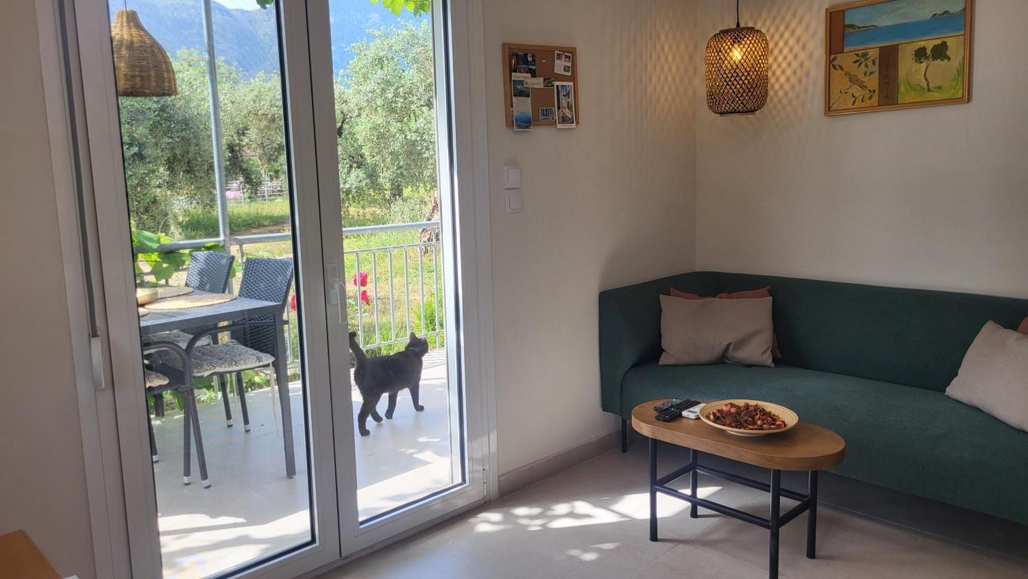 Ioannis Houses - Gemuetliches Ferienhaus Im Olivenhain Skala Potamia (Thasos) Quarto foto